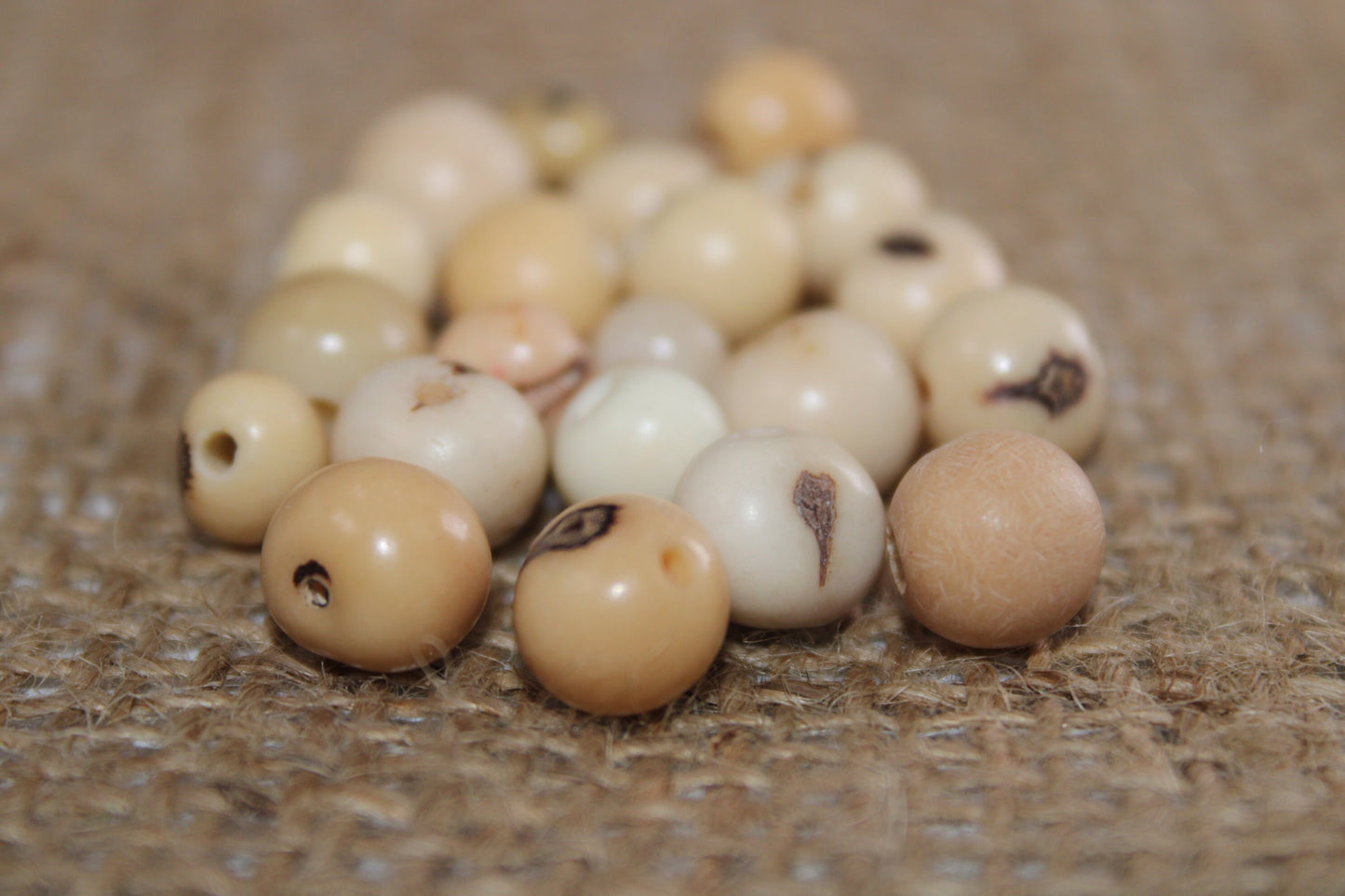 Acai Ball Beads. 200 Yellow and Beige Beads