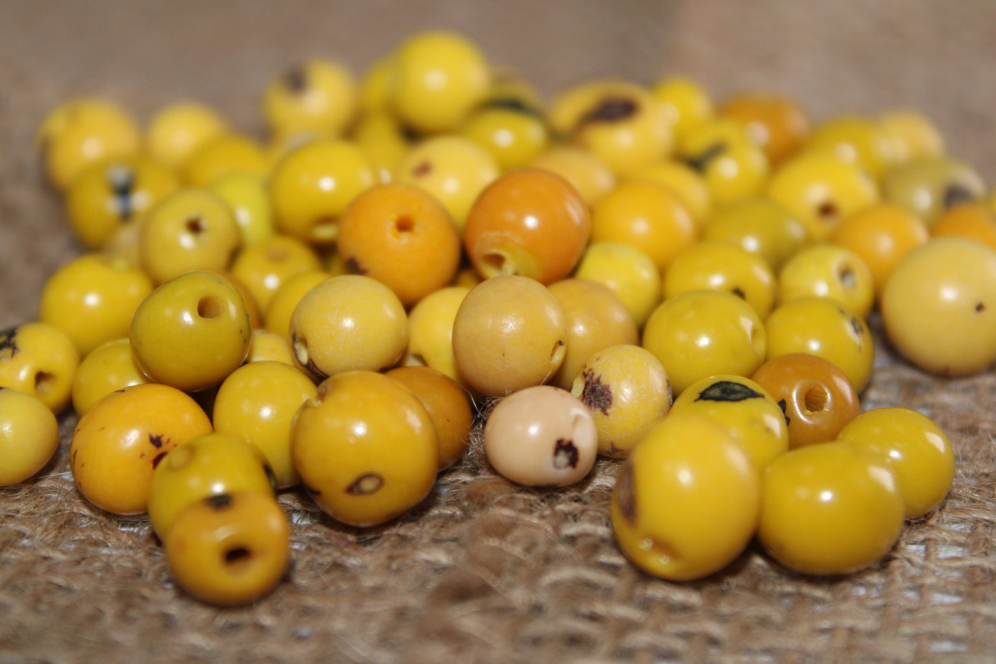 Acai Ball Beads. 200 Yellow and Beige Beads