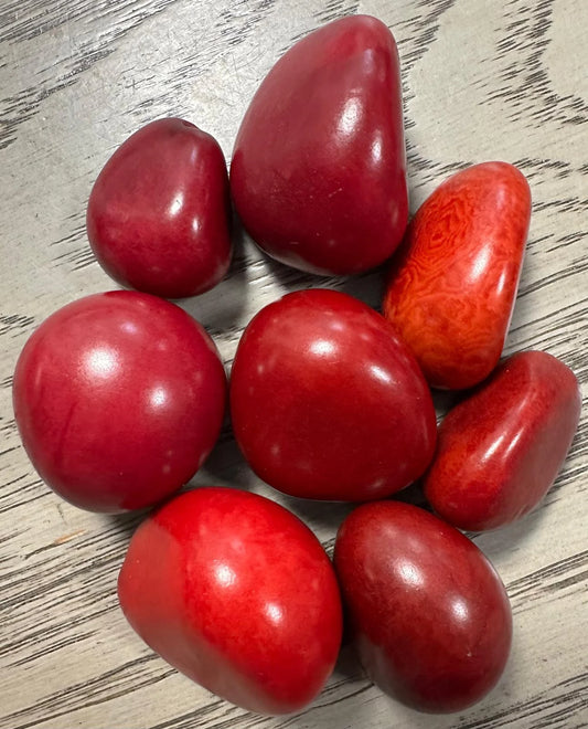 Tagua Nut Whole Seed Beads Mix of Red Colors | Mix of Big & Small Sizes | 8 Nuts | 3 to 5 cm. Tall | Top-drilled. TWMixcolors01D