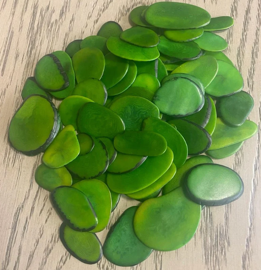 Tagua nut slices 20 slices green color. Size: 3x3 cm. approx. Vegetable ivory nut. Sustainable Jewelry making supplies. Drilled or undrilled