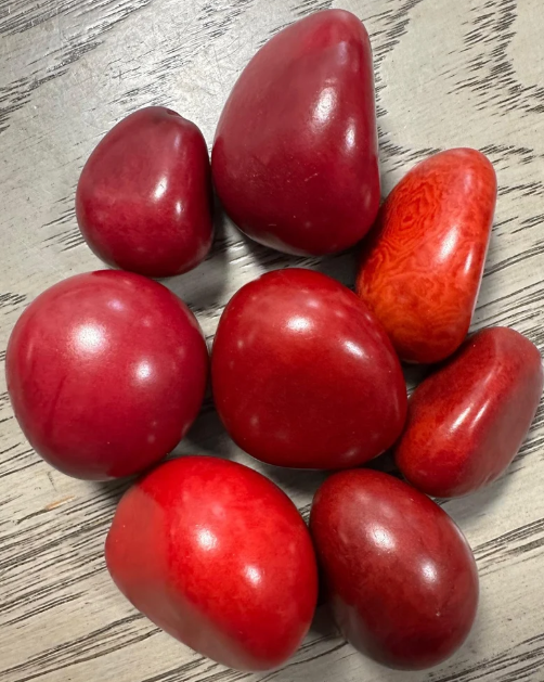 Tagua Nut Beads. 8 Red Pieces