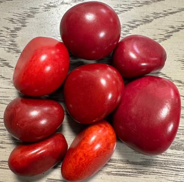 Tagua Nut Beads. 8 Red Pieces