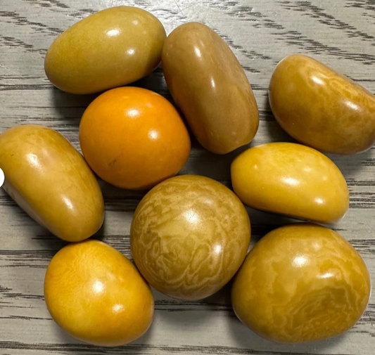 Tagua Nut Whole Seed Beads Mix of Yellow Colors | Mix of Big & Small Sizes | 8 Nuts | 3 to 5 cm. tall | Undrilled Jewelry Making Eco