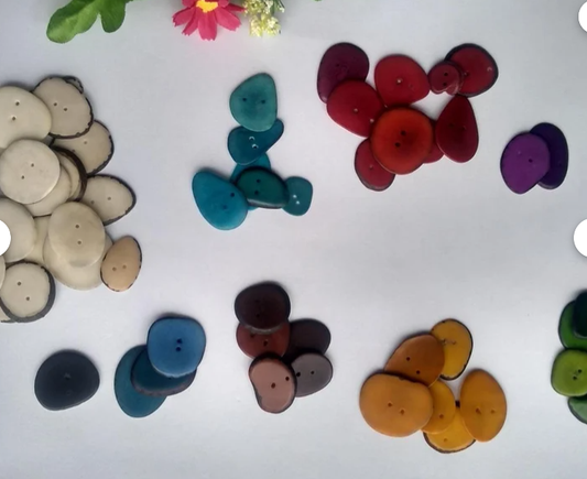 59 Tagua multicolored slices beads. 1.5- 3 cm x 2 cm. Two hole in the middle. Nature Pearls beads thin slices. Jewelry Making. R. 1006
