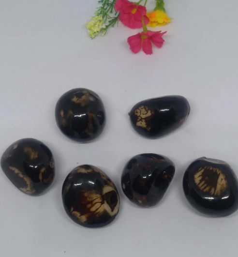 Dark brown tagua from Colombian. Small. Top drilled, 1 hole, 6 pieces. 4 x 3.5 cm. Woodwork. Natural jewerly supplies. Free Shipping R.1028