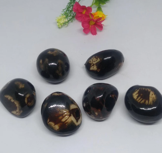 Dark brown tagua from Colombian. Small. Top drilled, 1 hole, 6 pieces. 4 x 3.5 cm. Woodwork. Natural jewerly supplies. Free Shipping R.1028