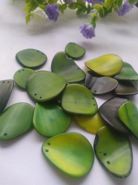 Jewelry Making Seed Beads 20 Tagua Nut Red Slices Green Curved Top Drilled 2 Holes 3x2cm. approx. Beading Eco Sustainable DIY Beading