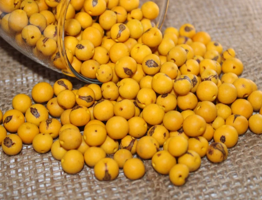 Yellow beads Acai seeds from the Colombian Amazonian palm. Size: 1x1cm. Hole size 1mm approx. natural accounts. Pack of 200 beads.