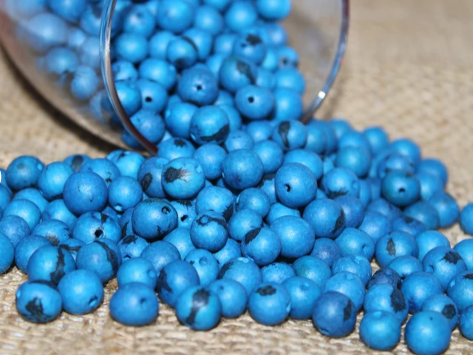 Cobalt Blue beads Acai seeds from the Colombian Amazonian palm. Size: 1x1cm. Hole size 1mm approx. natural accounts. Pack of 200 beads.