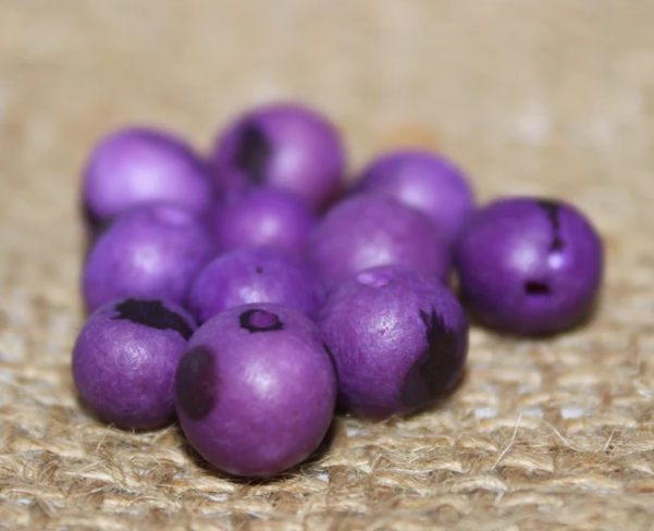 Purple beads Acai seeds from the Colombian Amazonian palm. Size: 1x1cm. Hole size 1mm approx. natural accounts. Pack of 200 beads.