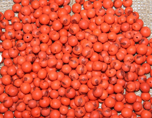 Orange beads Acai seeds from the Colombian Amazonian palm. Size: 1x1cm. Hole size 1mm approx. natural accounts. Pack of 200 beads.
