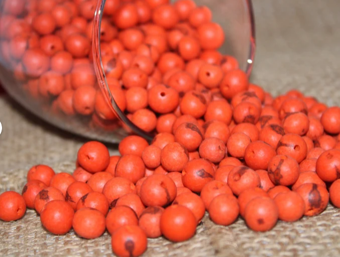 Orange beads Acai seeds from the Colombian Amazonian palm. Size: 1x1cm. Hole size 1mm approx. natural accounts. Pack of 200 beads.
