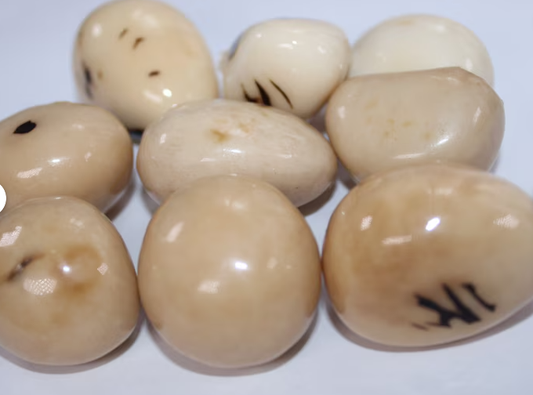 Tagua Whole Nut Tagua Covered with Eco-Resin. 5 Pieces. Small Size: 35 x 25 mm. approx. Top Drilled. Sustainable Jewelry making supplies