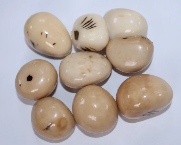 Tagua Whole Nut Tagua Covered with Eco-Resin. 5 Pieces. Small Size: 35 x 25 mm. approx. Top Drilled. Sustainable Jewelry making supplies