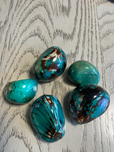 Tagua Whole Nut. 5 turquoise Pieces