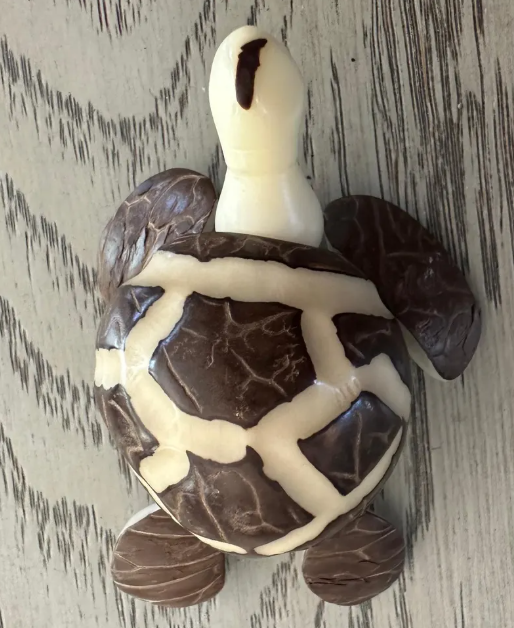 Tagua nut turtle handmade in Colombia by women artisans vegetable ivory nut | Home decor cute animal decor carving woodwork carved turtle